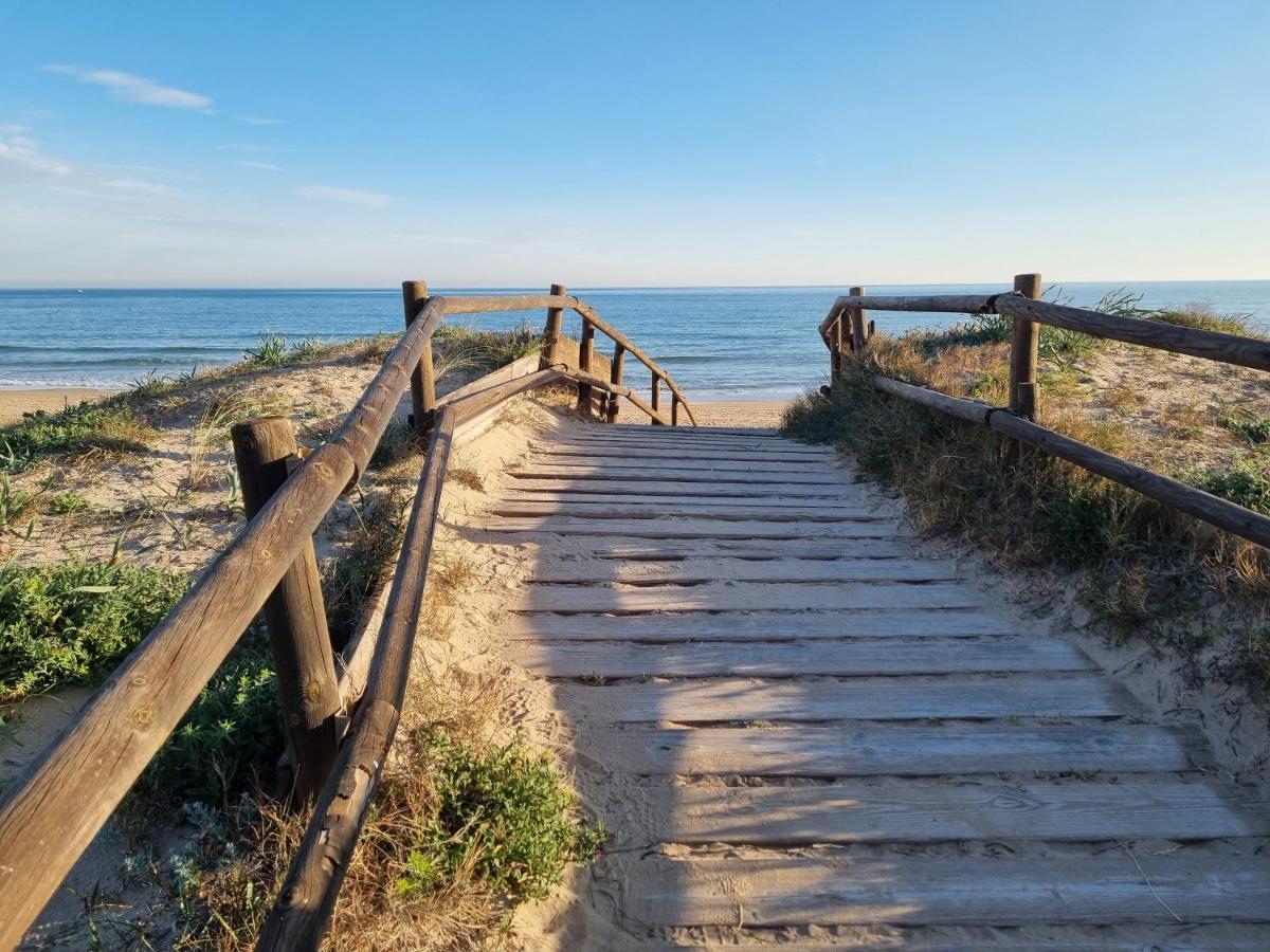 Hello Oliva Beach Bb Dış mekan fotoğraf