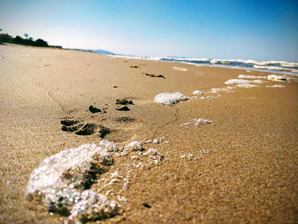 Hello Oliva Beach Bb Dış mekan fotoğraf